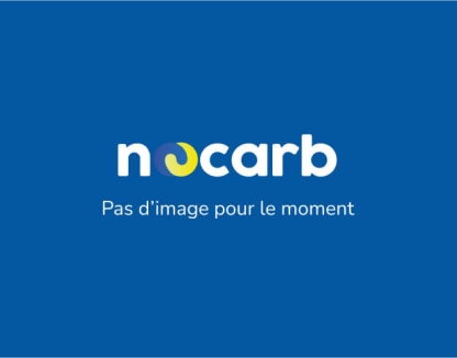 Etude mobilité ALTRANS