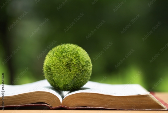 Cadre normatif et réglementaire