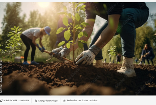 Sensibilisation à la transition énergétique